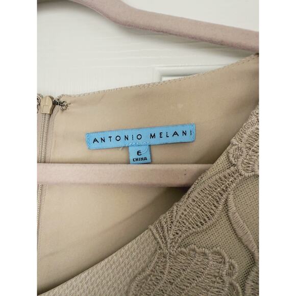 Antonio Melani Beige Lace Jacquard Sheath Dress 6 Champagne Career Semi Formal - Picture 3 of 8